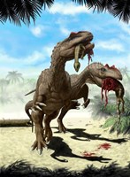 Two Allosaurus with a Hypsilophodon in mouth as next meal Fine Art Print