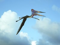 Zhejiangopterus, a genus of azhdarchid pterosaur Fine Art Print