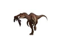 A Baryonyx dinosaur with a fish in mouth, white background Fine Art Print