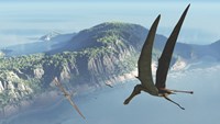 Species from the genus Anhanguera soar 105 million years ago over what is today Brazil Fine Art Print