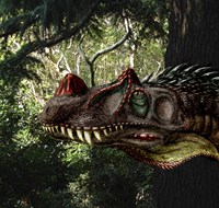 Ceratosaurus magnicornis of the Late Jurassic Period Fine Art Print