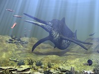 A massive Shonisaurus attempts to make a meal of a school of squid-like Belemnites Fine Art Print