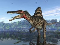 A Spinosaurus searches for its next meal Fine Art Print