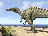 A carnivorous Suchomimus wanders a beach on the ancient Tethys Ocean Fine Art Print