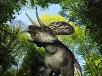 A Zuniceratops wanders a Cretaceous forest Fine Art Print