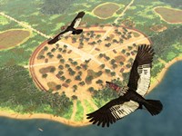 A pair of Andean Condors fly over an Amazonian village Fine Art Print