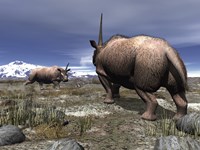 A pair of male Elasmotherium confront one another Fine Art Print