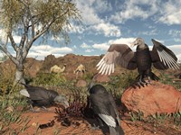 Pleistocene Black Vultures feed on carrion Fine Art Print