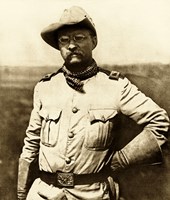Colonel Theodore Roosevelt Fine Art Print