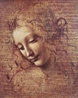 Head of a Young Woman with Tousled Hair by Leonardo Da Vinci - various sizes