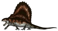 Dimetrodon, a Synapsid that was an Apex Pradator Fine Art Print