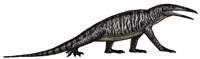 Teraterpeton, an Archosauromorph from the Late Triassic Fine Art Print