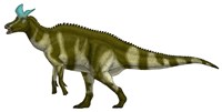 Lambeosaurus Lambei, a Hadrosaurid Dinosaur from the Cretaceous Period Fine Art Print