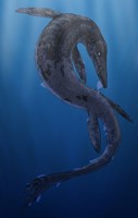 Tylosaurus, a Giant Marine Squamata Shedding its Skin Fine Art Print
