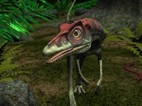 A Compsognathus wanders a Late Jurassic Forest Fine Art Print