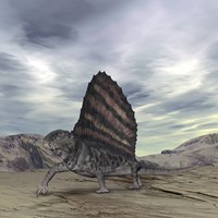 Dimetrodon Grandis Traverses Earth During the Early Permian Period Fine Art Print