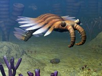 An Anomalocaris Explores a Middle Cambrian Age Ocean Floor Fine Art Print