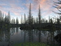 A Forest of Calamites and Asteroxylon 390 Million Years Ago Fine Art Print