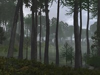 A Forest of Cordaites and Araucaria Fine Art Print