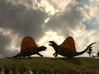 Dimetrodon Fight Over Territory Fine Art Print