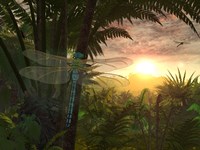 A Giant Meganeura with a 30-inch Wingspan Witnesses a Sunrise Fine Art Print
