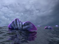 Portuguese Man o' War Swarm over the Surface of a Cambrian Ocean Fine Art Print