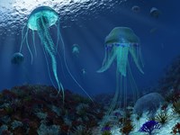 A Swarm of Jellyfish Swim the Panthalassic Ocean Fine Art Print