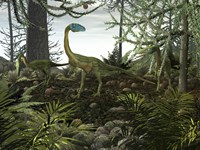 Coelophysis Dinosaurs Walk Amongst a Forest Fine Art Print