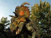 An Albertaceratops Wanders a Cretaceous Forest Fine Art Print