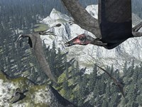 A Flock of Dorygnathus Fine Art Print