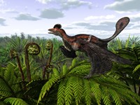 A Feathered Microraptor Perched atop a Tree Fern Fine Art Print