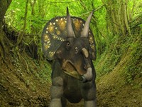 A Nedoceratops Wanders a Cretaceous Forest Fine Art Print