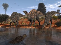 Ouranosaurus Drink at a Watering Hole while a Sarcosuchus Floats nearby Fine Art Print