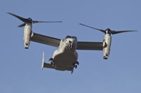 An MV-22B Osprey Prepares for Landing Fine Art Print