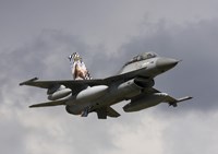Belgian F-16B taking off Fine Art Print