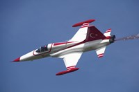 An F-5 jet of the Turkish Stars Aerobatic Demonstration Team Fine Art Print