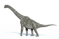 3D Rendering of a Brachiosaurus Dinosaur Fine Art Print