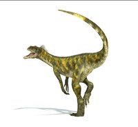 Herrerasaurus dinosaur on white background Fine Art Print