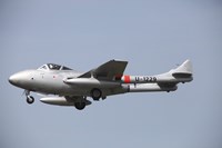 A De Havilland DH 112 Venom Jet Trainer of the Swiss Air Force Fine Art Print