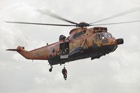 A German WS-1 Sea King during a Fast-roping Exercise Fine Art Print