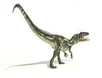 Allosaurus Dinosaur Fine Art Print