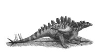 Pencil Drawing of Gigantspinosaurus Sichuanensis Fine Art Print