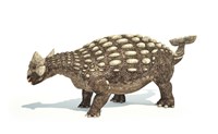 Ankylosaurus Dinosaur on White Background Fine Art Print