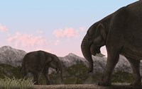 Two Deinotherium, an Extinct Animal of the Miocene Epoch Fine Art Print