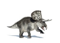 3D Rendering of a Zuniceratops Dinosaur Fine Art Print
