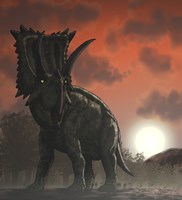 Coahuilaceratops Walking through a Cretaceous Sunset Fine Art Print