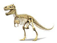 3D Rendering of a Tyrannosaurus Rex Dinosaur Skeleton Fine Art Print