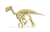 3D Rendering of an Lguanodon Dinosaur Skeleton Fine Art Print