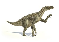 Iguanodon Dinosaur in Dynamic Posture Fine Art Print