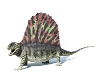 3D Rendering of a Dimetrodon Dinosaur Fine Art Print